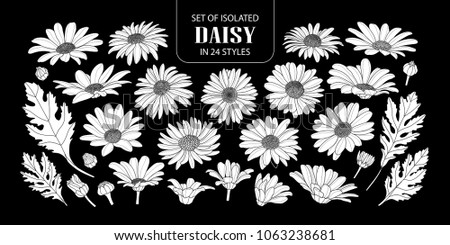 Download Set Isolated White Silhouette Daisy 24 Stock Vector ...