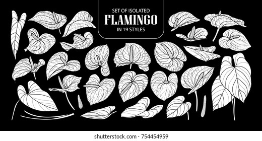 Set of isolated white silhouette Flamingo in 19 styles. Cute hand drawn flower vector illustration in white plane (no outline) on black background.