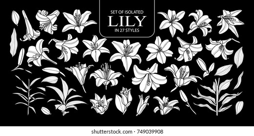 Set Of Isolated White Silhouette Lily In 27 Styles. Cute Hand Drawn Flower Vector Illustration In White Plane And No Outline On Black Background.