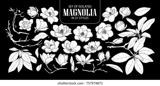 Set of isolated white silhouette magnolia in 21 styles. Cute hand drawn flower vector illustration in white plane and no outline on black background.