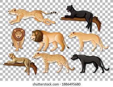 Set of isolated wild African animals on transparent background illustration