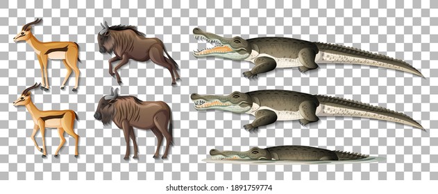Set of isolated wild african animals on transparent background illustration