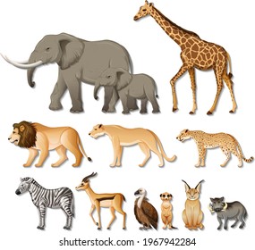 Set of isolated wild african animals on white background illustration