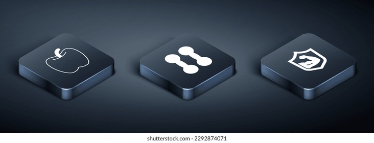 Set Isometric Apple, Bodybuilder muscle and Dumbbell icon. Vector
