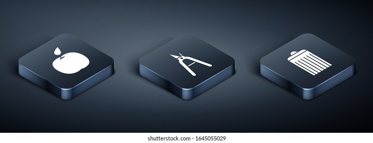 Set Isometric Apple, Trash can and Gardening handmade scissors icon. Vector