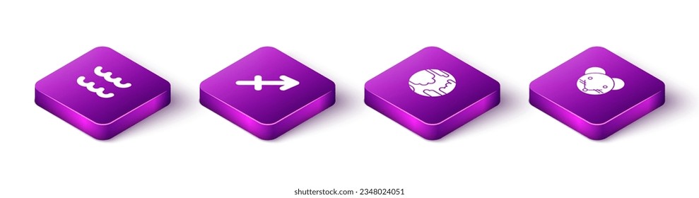 Set Isometric Aquarius zodiac, Sagittarius, Planet Mercury and Rat icon. Vector