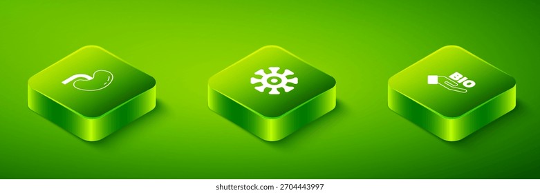 Set Isometric Bacteria, Bio healthy food and Human kidney icon. Vector