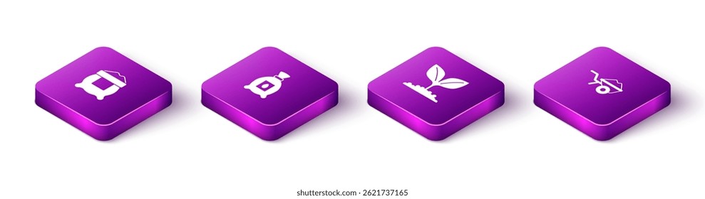 Set Isometric Bag of flour, Pack full seeds plant, Plant and Wheelbarrow with dirt icon. Vector