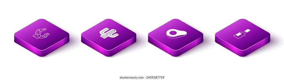 Set Isometric Cactus, , Avocado fruit and Tabasco sauce icon. Vector
