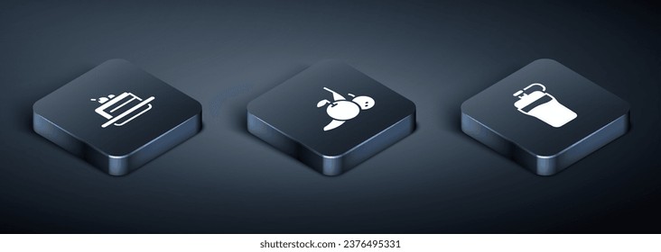 Set Isometric Cake, Fitness shaker and Fruit icon. Vector