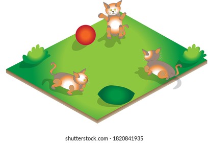 A Set of Isometric Cats