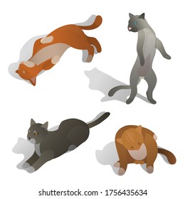 Set of isometric cats in different poses, walking, seating, jumping, sleeping. Realistic cartoon style. Collection of domestic animals in isometric. Isolated vector illustration art.