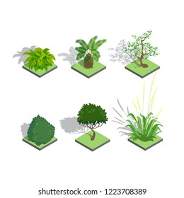 Set of Isometric character tree bushes garden decoration , vector illustraion.