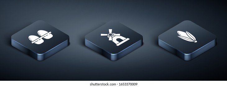 Set Isometric Chicken egg in box, Corn and Windmill icon. Vector