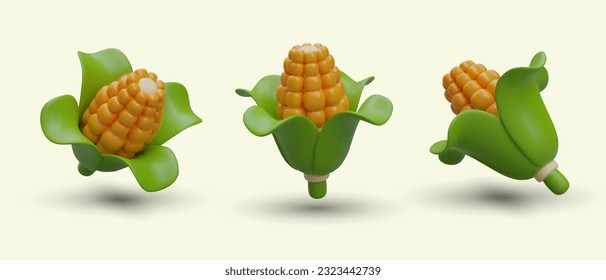 Set of isometric corncobs with green leaves. Ripe yellow corn. Agronomic fodder culture. Vegetarian food. Maize day. Color vector images from side, top, tilt