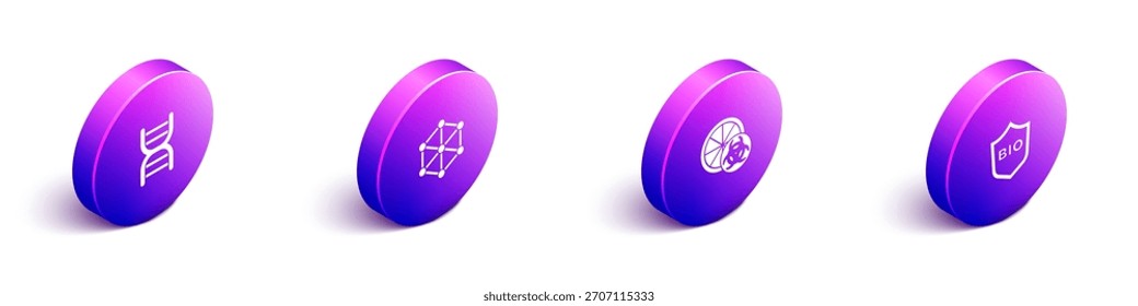 Conjunto de símbolo de ADN isométrico, OMG, naranja modificado genéticamente y escudo para el icono de alimentos bio saludables. Vector