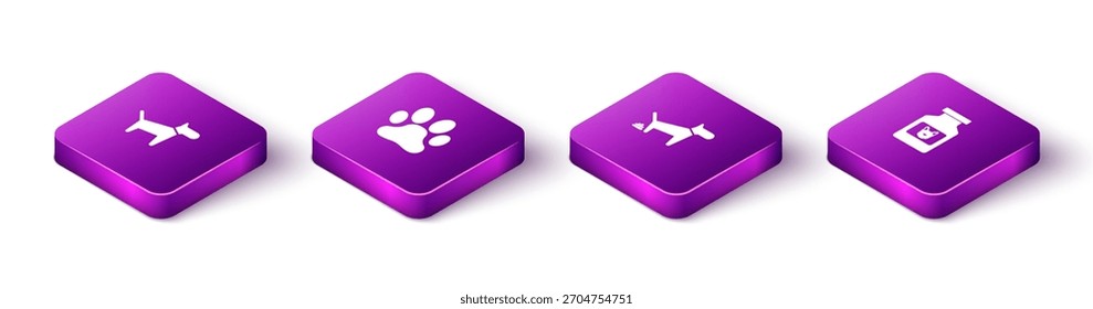 Conjunto de perro isométrico, impresión de pata, caca e icono de botella de medicina. Vector