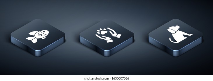Set Isometric Fish, Dog and Hands with animals footprint icon. Vector