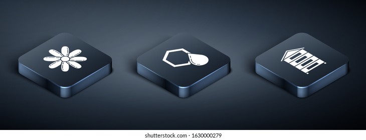 Set Isometric Flower, Hive for bees and Honeycomb icon. Vector