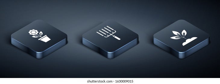 Set Isometric Flower in pot, Plant and Garden rake in work icon. Vector