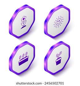 Set Isometric Flower, Sun, Plant in pot and  icon. Purple hexagon button. Vector