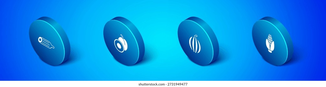 Conjunto de pepino fresco isométrico, sandía, maíz y ciruela icono de fruta. Vector