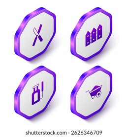 Set Isometric Gardening scissors, fence wooden, sprayer for water and Wheelbarrow icon. Purple hexagon button. Vector