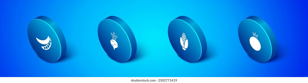 Set Isometric Green peas, Corn, Tomato and Beet icon. Vector