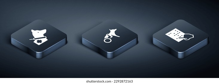 Setzen Sie Isometric Guide Hund, Braille und Hund in Rollstuhl Symbol. Vektorgrafik