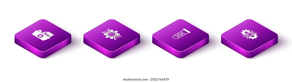 Establecer la carpeta de registro de salud isométrica, ingeniería genética, investigación de ADN, icono de búsqueda y edición. Vector
