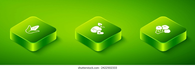 Set Isometric Healthy fruit, Broccoli and Corn icon. Vector