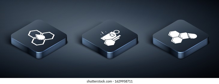 Set Isometric Honeycomb, Honeycomb and Cup of tea with honey icon. Vector