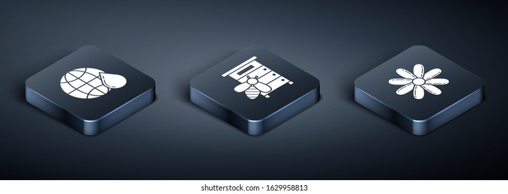 Set Isometric Honeycomb map of the world, Flower and Hive for bees icon. Vector