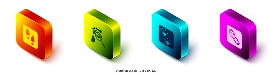 Set Isometric Human footprints shoes, Magnifying glass with footsteps, Frog paw and  icon. Vector