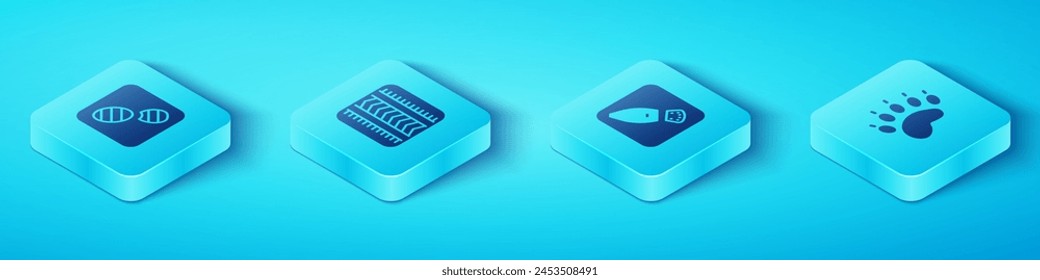 Set Isometric Human footprints shoes, Tire track, Bear paw and  icon. Vector