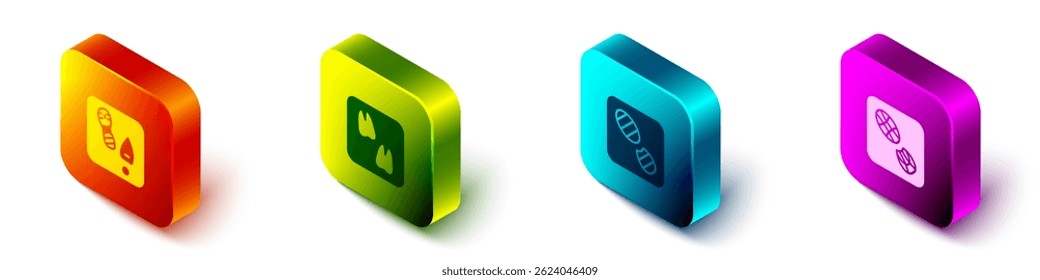 Set Isometric Human footprints shoes, Camel paw,  and  icon. Vector