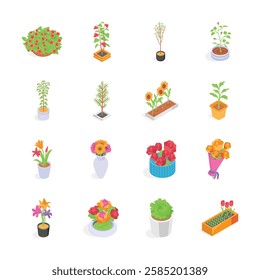 A set of isometric icons of plants and flowers in different containers.