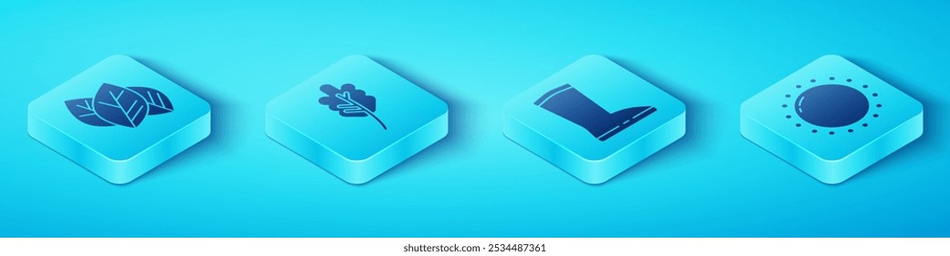 Set Isometric Leaf or leaves, Leaf or leaves, Sun and Waterproof rubber boot icon. Vector
