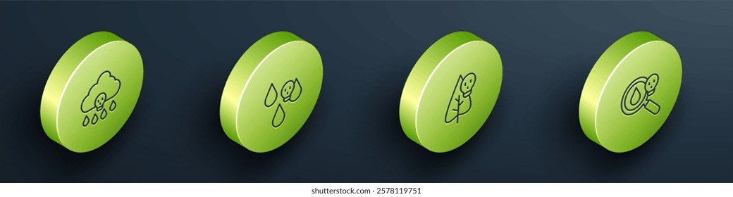 Set Isometric line Acid rain, Poison flower and magnifying glass icon. Vector