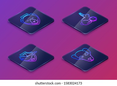 Set Isometric line Bear head on shield, Flying duck on shield, Hunt on rabbit with crosshairs and Hunting dog. Blue square button. Vector