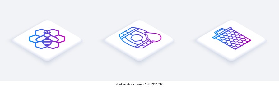 Set Isometric line Bee and honeycomb, Wooden barrel with honey and Honeycomb. White square button. Vector
