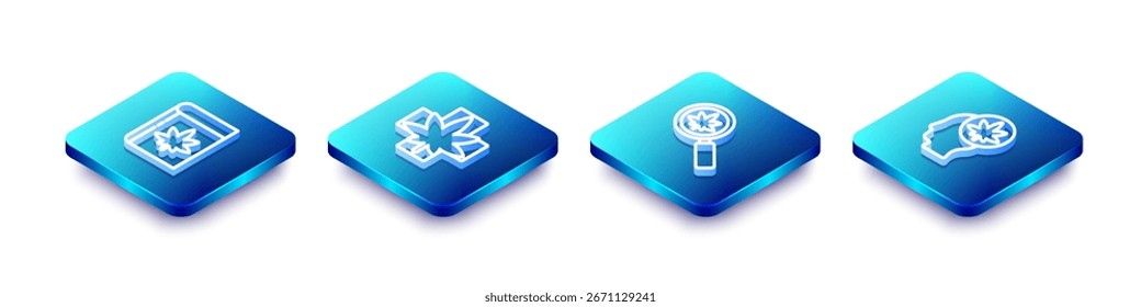 Conjunto de línea isométrica Libro y marihuana o cannabis, hoja médica, lupa y cabeza con icono. Vector