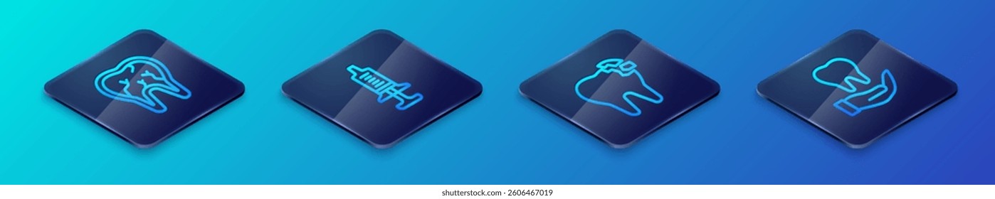 Set Isometric line Broken tooth, Tooth and Syringe icon. Vector