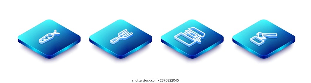 Set Isometric line Carrot, Garden rake, Well and Wooden axe icon. Vector