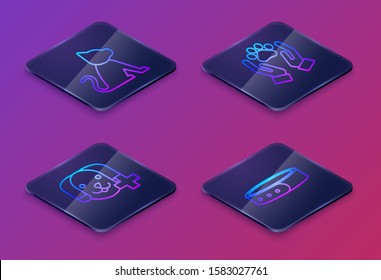 Set Isometric line Cat, Veterinary clinic symbol, Hands with animals footprint and Collar with name tag. Blue square button. Vector