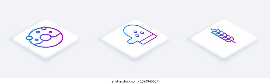 Set Isometric line Donut with sweet glaze , Oven glove  and Cereals with rice, wheat, corn, oats, rye. White square button. Vector