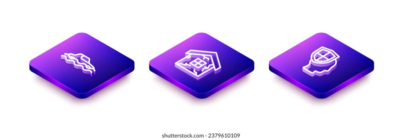 Set Isometric line Flood car, House and Life insurance with shield icon. Vector