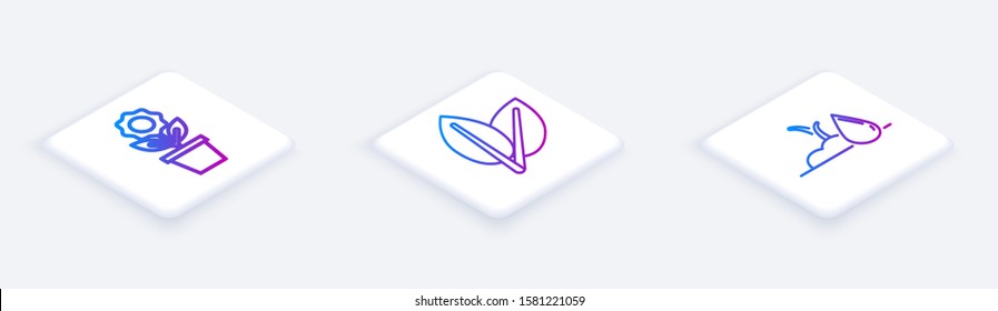 Set Isometric line Flower in pot, Leafs and Watering sprout. White square button. Vector