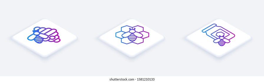 Set Isometric line Hive for bees, Bee and honeycomb and Jar of honey with bee. White square button. Vector