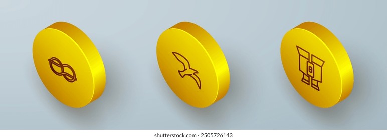 Set Isometric line Nautical rope knots, Bird seagull and Binoculars icon. Vector